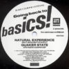 VARIOUS - Going Back To Basics