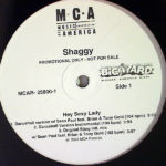 SHAGGY feat SEAN PAUL – Hey Sexy Lady