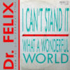 DR FELIX - What A Wonderful World/I Can't Stand It Remix