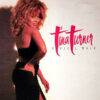 TINA TURNER - Typical Male