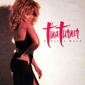 TINA TURNER – Typical Male