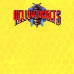 YELLOWJACKETS – YellowJackets