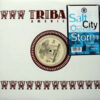 SALT CITY ORCHESTRA - Storm