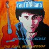 RAUL ORELLANA The Real Wild House