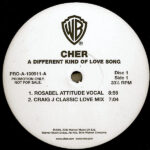 CHER – A Different Kind Of Love Song